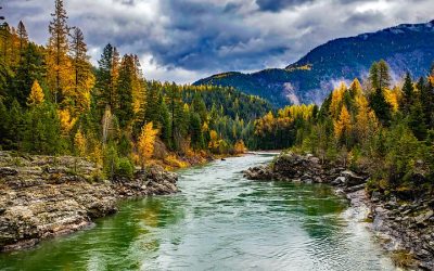 Covid 19: Is Mother Nature Giving us Chance to Change Behaviours and Protect our Natural World